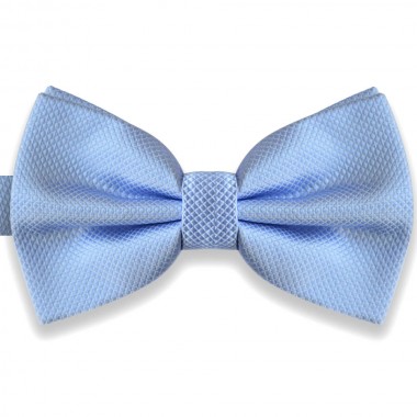  Papion bleu, elegant, model Blue Rose